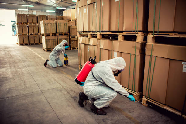 Best Flea Control Services  in Mammoth, AZ