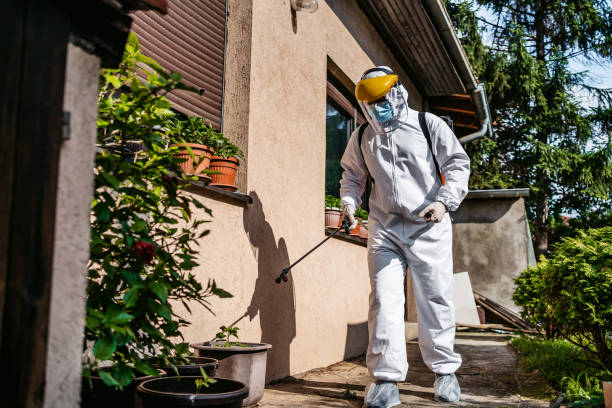 Best Affordable Pest Control Services  in Mammoth, AZ