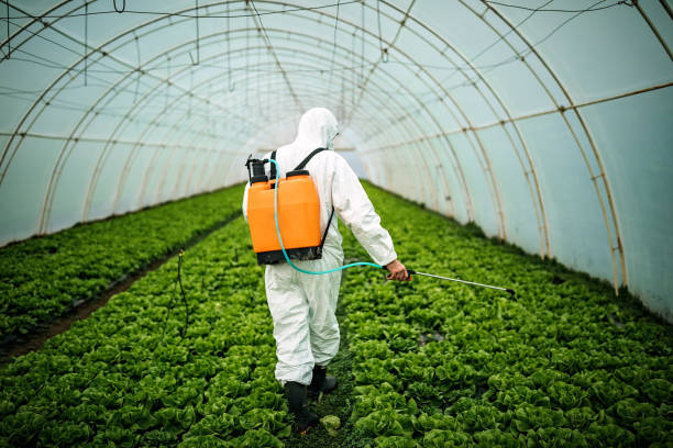 Best Mosquito Control Services  in Mammoth, AZ