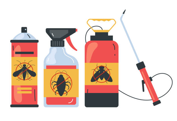 Best Affordable Pest Control Services  in Mammoth, AZ